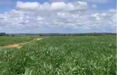 Imagem 2: Fazenda de 2.396 hectares na região da cidade de Jangada no estado de Mato Gross