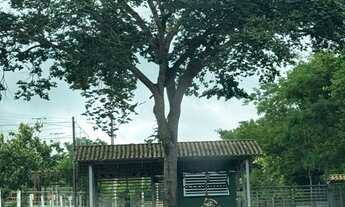 Imagem: Chácara no Condomínio Trilhas do Cerrado