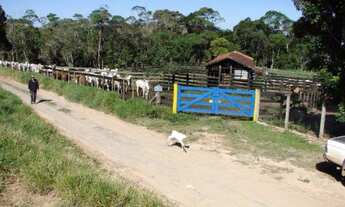 Imagem 6: Sorocaba Região Fazenda 200 Alqueires