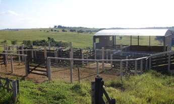 Imagem 5: Sorocaba Região Fazenda 90 Hectares