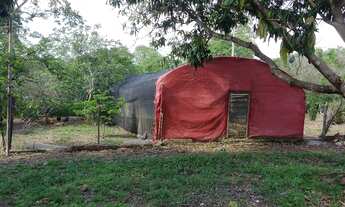 Imagem 2: Sítio no sucuri com 100.000 metros quadrados