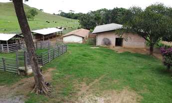 Imagem 6: Vendo linda Fazenda