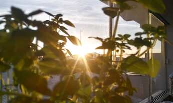 Imagem: FLORIANóPOLIS - Apartamento Padrão - Ingleses