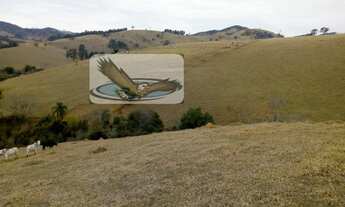 Imagem 6: Fazenda Pecuária para Venda em Centro Cambuí-MG - SI0035