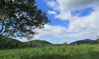 Imagem 13: FAZENDA Fazenda / sítio com venda por R$2.500.000