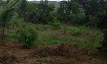 Imagem 3: Sitio cidade Araçás