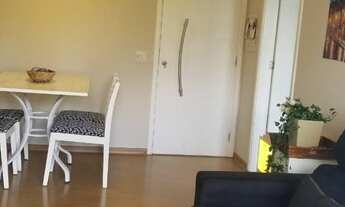 Imagem 2: Apartamento para locação em São Paulo