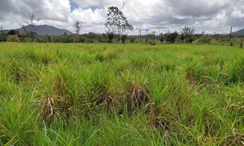 Imagem 6: Vendo fazenda em Roraima
