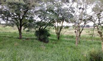 Imagem 6: Terreno à venda, Águas Claras - Viamão/RS