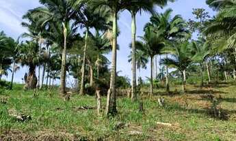 Imagem 3: Terrenos no Centro de Pomerode - SC