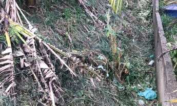 Imagem 3: PETRóPOLIS - Terreno Padrão - Quitandinha