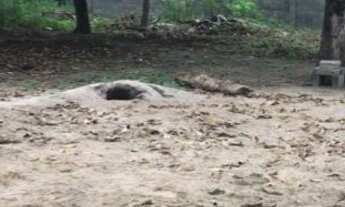 Imagem 3: Vendo-Excelente Terreno Escriturado no Sim-Próximo ao Bangalay 2.250m²