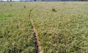 Imagem 4: Fazenda em Monte do Carmo