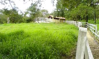 Imagem 6: Vendo ótimo Sitio de cinema em Confins-MG, a 30km do Minas shop