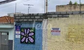 Imagem: São Paulo - Terreno Padrão - Vila Prudente