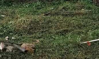 Imagem 4: Vendo terreno 7x21 no Loteamento Boa Viagem