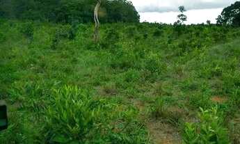 Imagem 5: Fazenda com 1016 Hectares, município de Guiratinga- MT