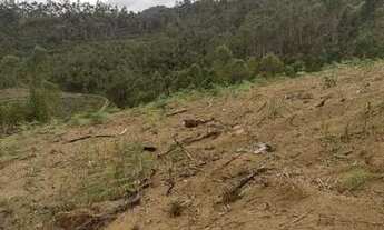 Imagem 5: Terreno Rural Escriturado de 20.000m2 para Venda em Domingos Martins / ES