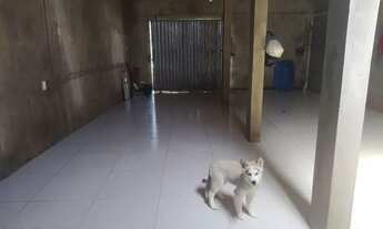 Imagem 6: Vendo casa no cidade nova