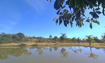 Imagem 4: Vendo 4 Lotes Juntos ( 1.440 m2) / Frente ao Parque !!!!