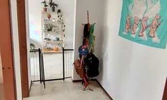 Imagem 5: Apartamento - 02 dormitórios - Fanny