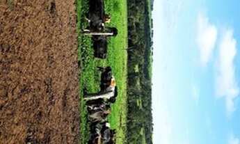 Imagem 2: Fazenda de 37 alqueires em - Caiapônia -GO