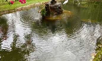 Imagem: Linda chacara de 2 alqueires