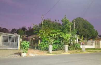 Imagem 6: Casa de alvenaria em São Leopoldo, 2 quartos