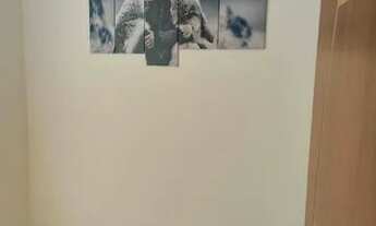 Imagem 2: Apartamento para Aluguel Ótima região