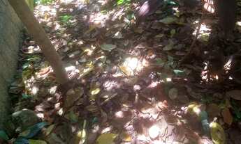 Imagem 2: Terreno 6x19 murado Parque São Cristóvão