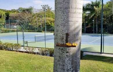 Imagem 4: Sobrado para locação no Condomínio Granja Olga 3, em Sorocaba-SP