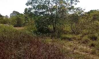 Imagem 3: Vendo este lote 10x29 no KL-32 na estrada de Manacapuru