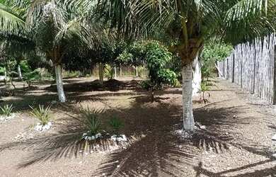 Imagem 2: Sítio em Benevides 5 km do centro de Benevides