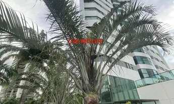 Imagem 2: Apartamento 4 quartos para locação em casa forte