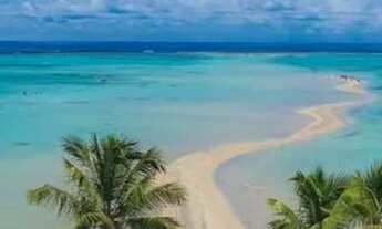 Imagem 2: Alugo casa com piscina em Maragogi