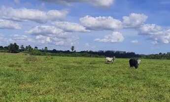 Imagem 5: SITIO CHACARA FAZENDA CONCEICAO JACUIPE (BERIMBAU) 7 TAREFAS OTIMA LOCALIZACAO