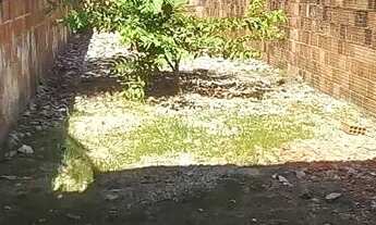 Imagem 4: Venda de uma casa no bairro Presidente vargas recém construída