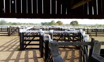 Imagem 2: Excelente Fazenda no Municipio de Cáceres -MT