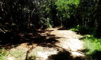 Imagem 5: Vende-se área em Terra Boa (40km de Curitiba