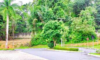 Imagem 6: Terreno/lote 360 m² a venda em Reserva do Parque, Ponta Negra, Manaus