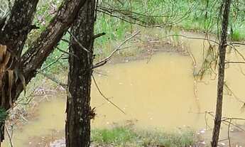 Imagem: Lindo local pra renda montado 350 mil reais