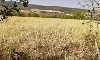 Imagem 5: 056. Chácara em Jaraguari Dupla Aptidão