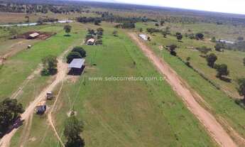 Imagem 3: Excelente Fazenda no Municipio de Cáceres -MT