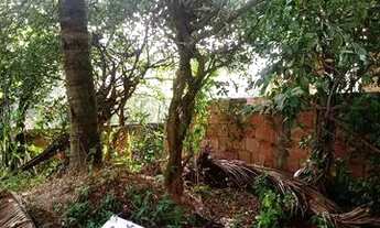 Imagem 3: Vende-se casa Casa com 1 dormitório