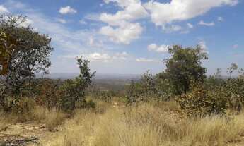 Imagem 6: Chácara 5.000 M²...Com Poço Artesiano!!!!129.900.00