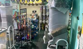 Imagem 5: Passo o ponto Galpão / depósito com venda por R$175.000