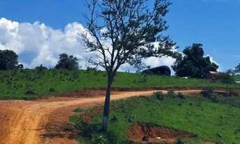 Imagem 3: Terreno amplo pronto para projeto