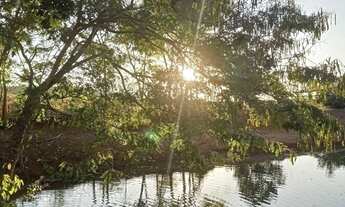 Imagem: Oportunidade Fazenda Bela Vista