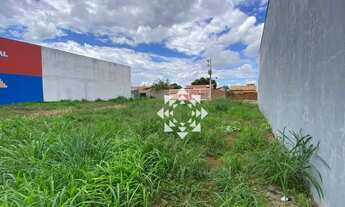 Imagem 4: Seu Próximo Investimento em Palmas Começa Aqui