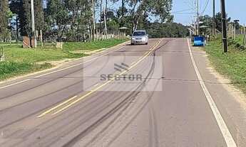 Imagem 4: Terrenos / Lotes / Condomínio em - São José dos Pinhais